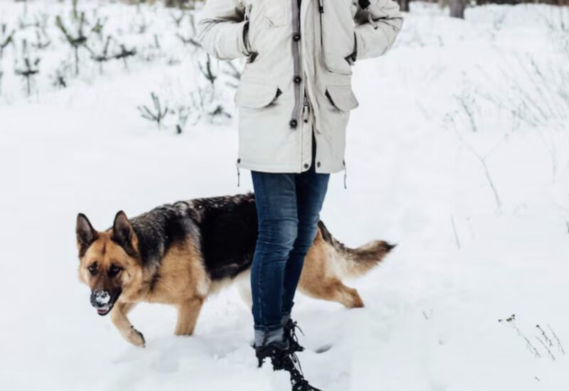 „Była związana, zakneblowana i pozostawiona na śmierć w przewróconym radiowozie… Dopóki weteran nie podążył za swoim instynktem i nie wpadł w śmiertelną zamieć”